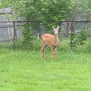 Meet your Posher, Robert
